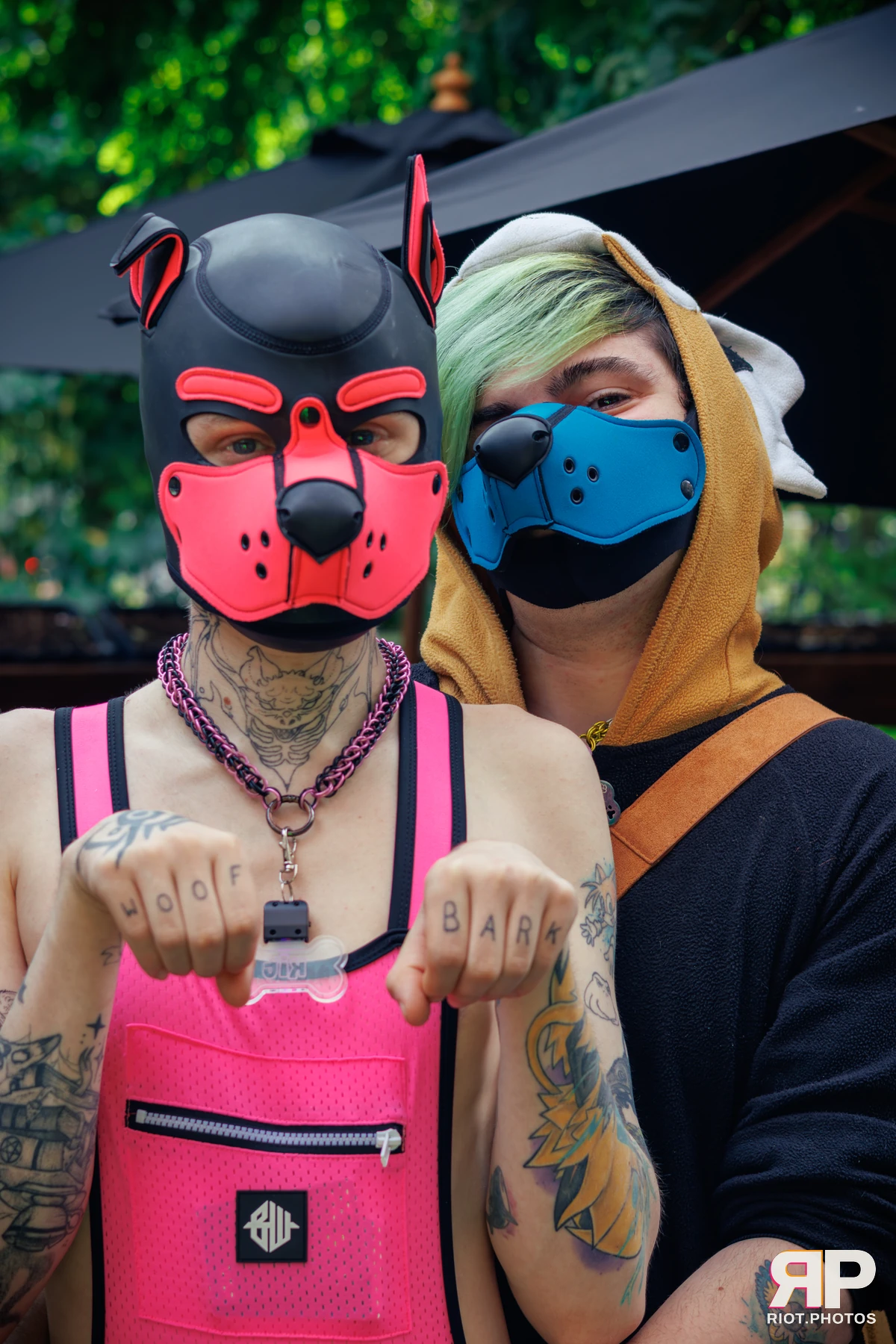 Kennel Klub - September, 2025 — 06 Sep 2025, Fluffy Riot photography — photo 6