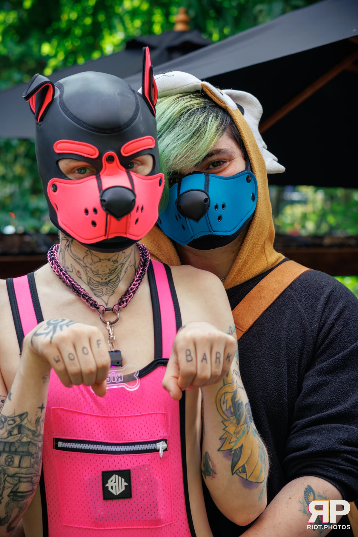 Kennel Klub - September, 2025 — 06 Sep 2025, Fluffy Riot photography — photo 7