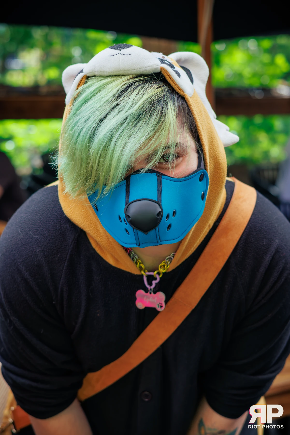 Kennel Klub - September, 2025 — 06 Sep 2025, Fluffy Riot photography — photo 8