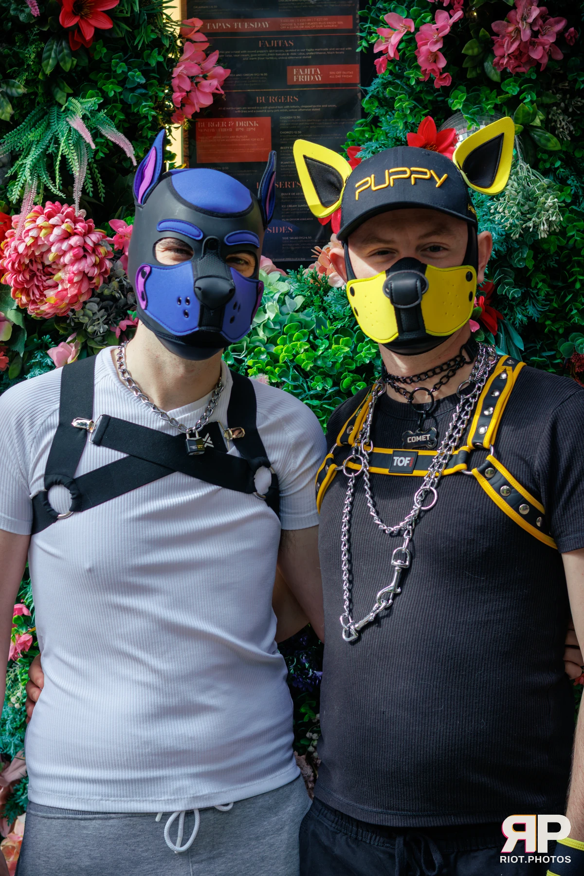 Alex Apollo — furry & pup photography by Fluffy Riot — photo 39