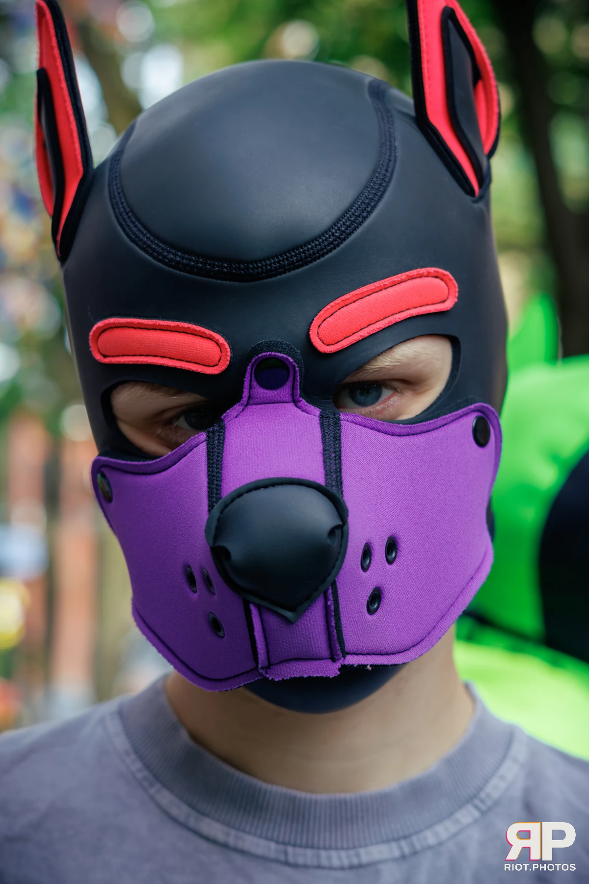 Mercury — furry & pup photography by Fluffy Riot — photo 115