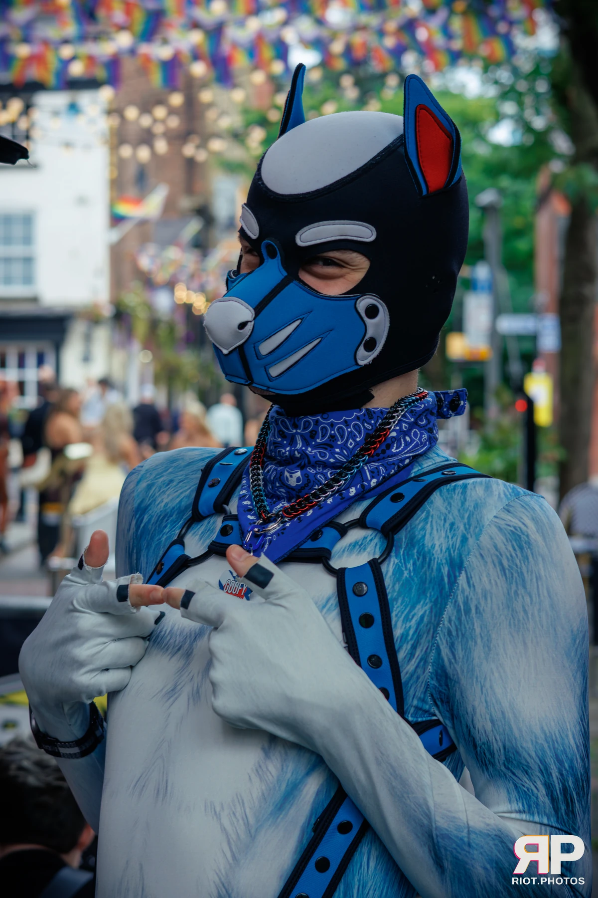 Pup Goofy — furry & pup photography by Fluffy Riot — photo 4