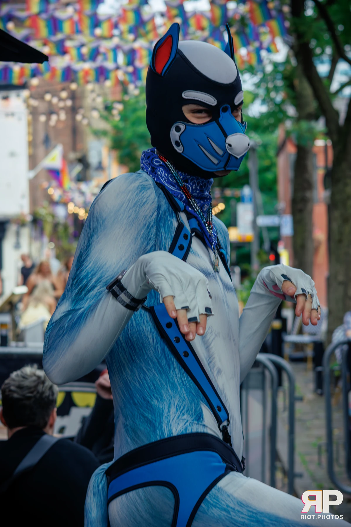 Pup Goofy — furry & pup photography by Fluffy Riot — photo 5