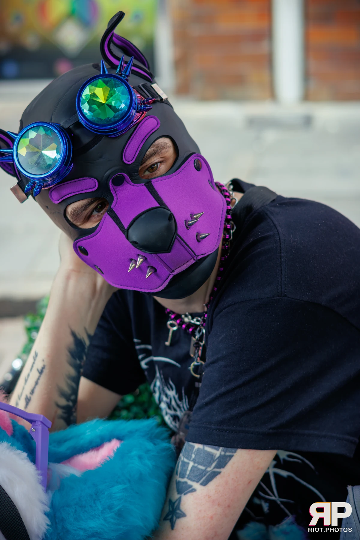 Pup Damien — furry & pup photography by Fluffy Riot — photo 2