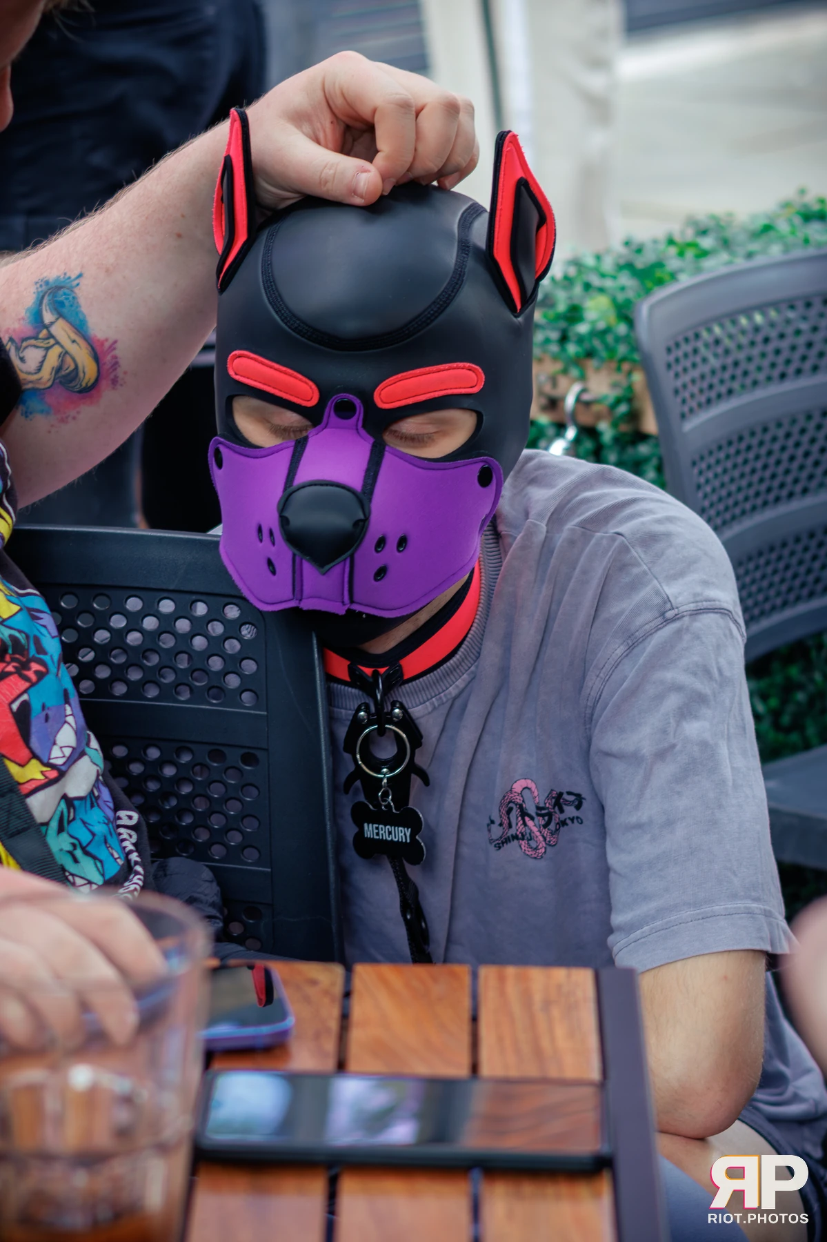 Mercury — furry & pup photography by Fluffy Riot — photo 116