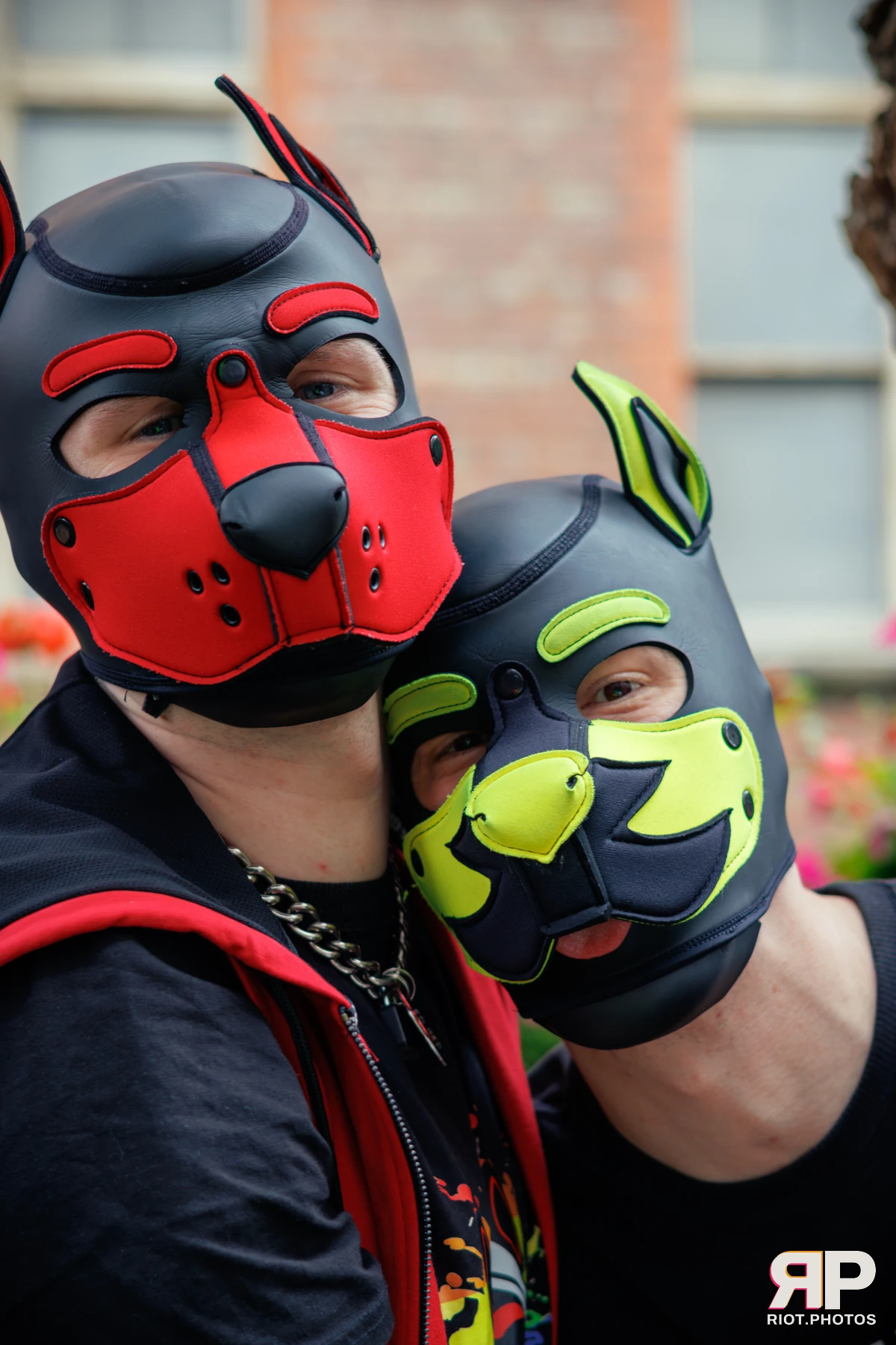 Kennel Klub - September, 2025 — 06 Sep 2025, Fluffy Riot photography — photo 29