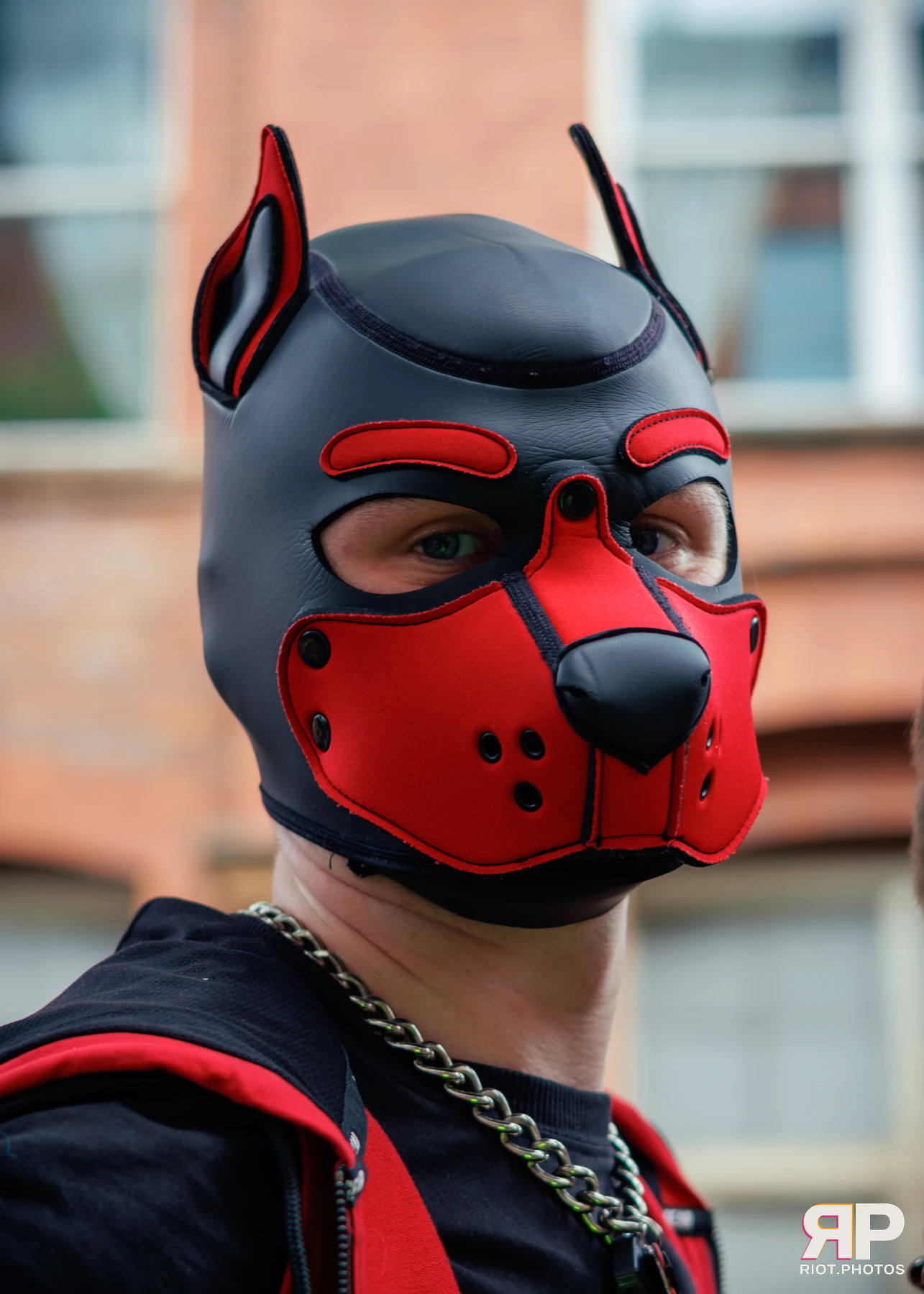 Kennel Klub - September, 2025 — 06 Sep 2025, Fluffy Riot photography — photo 31