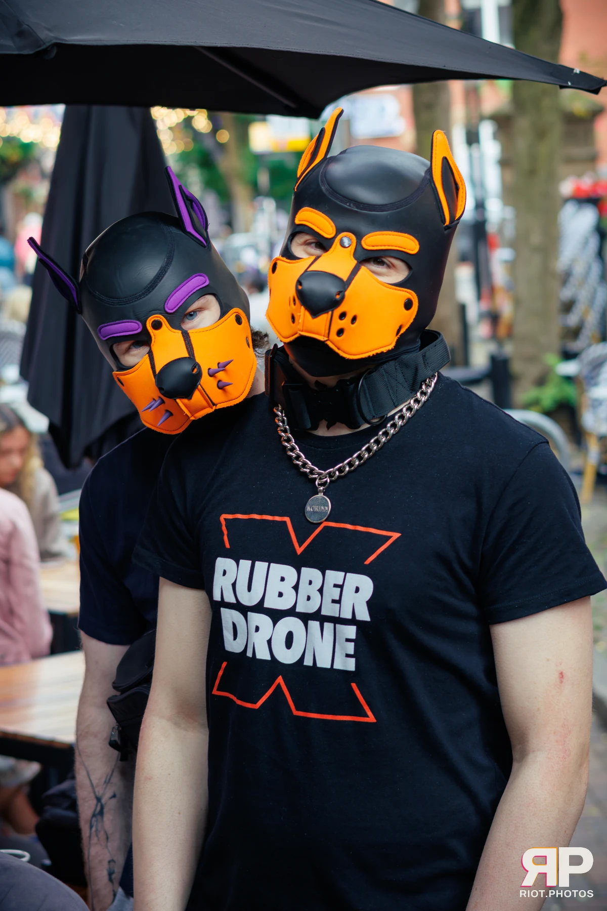 Kennel Klub - September, 2025 — 06 Sep 2025, Fluffy Riot photography — photo 36