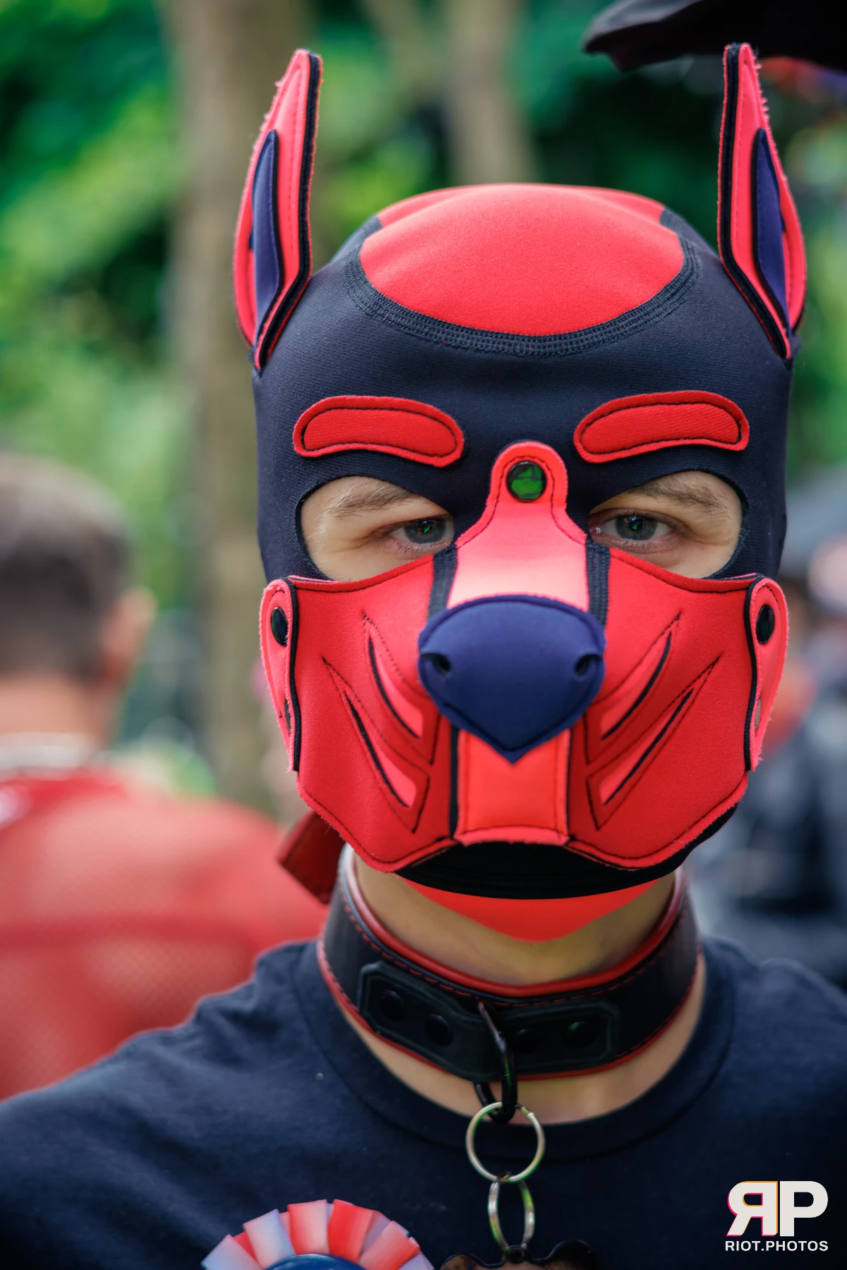 Pup Dande — furry & pup photography by Fluffy Riot — photo 56