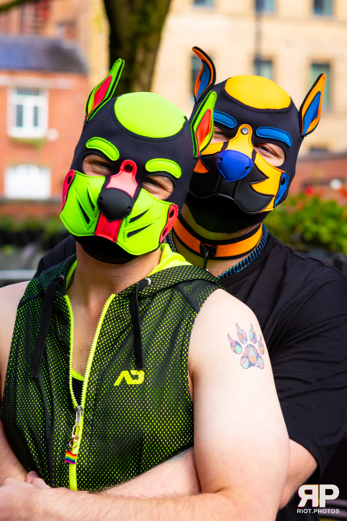 Kennel Klub - November, 2025 — 01 Nov 2025, Fluffy Riot photography — photo 1