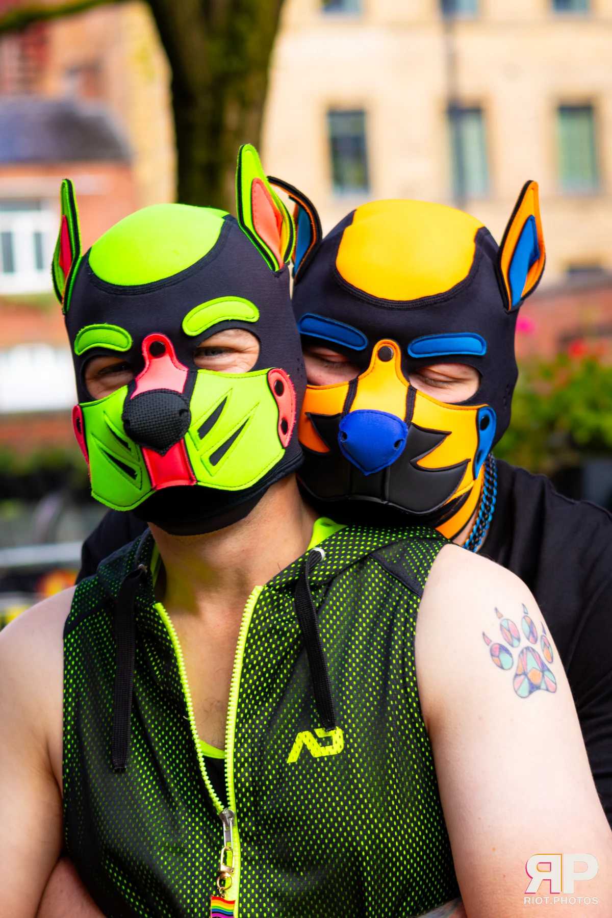 Kennel Klub - November, 2025 — 01 Nov 2025, Fluffy Riot photography — photo 2
