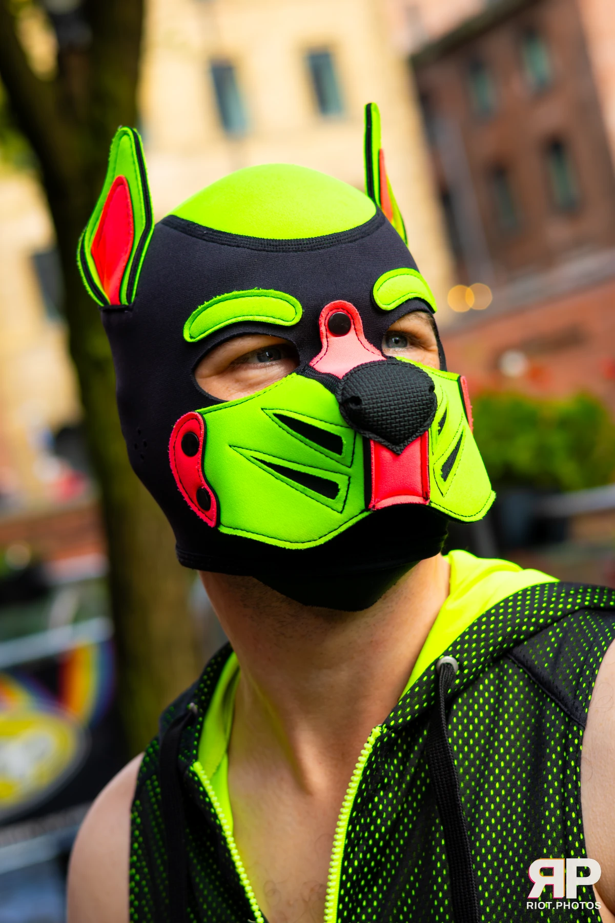 Kennel Klub - November, 2025 — 01 Nov 2025, Fluffy Riot photography — photo 3