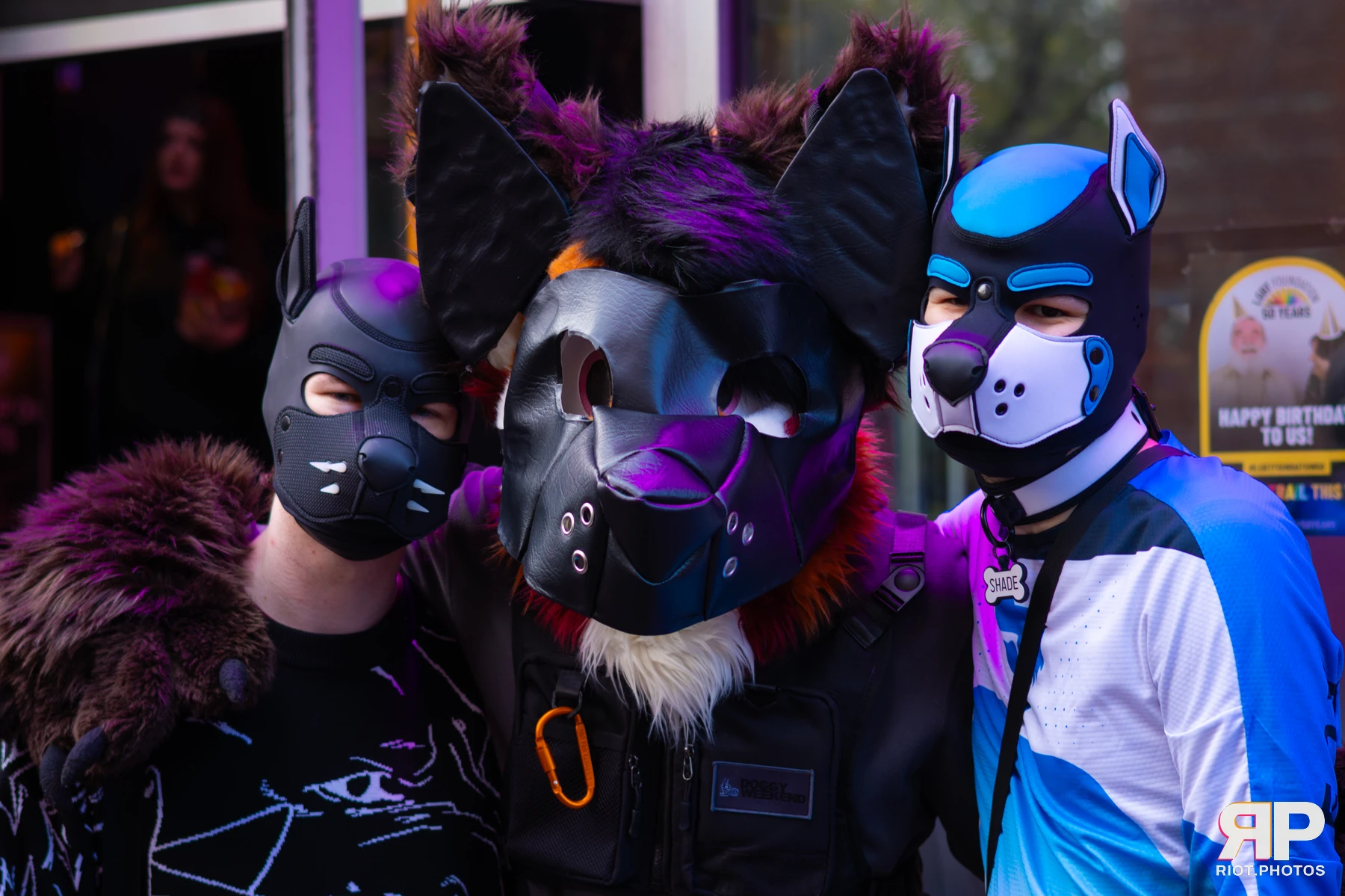 Kennel Klub - November, 2025