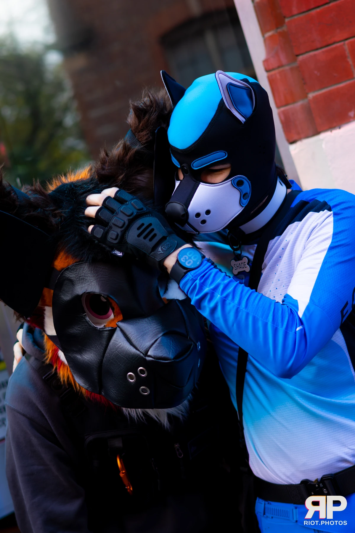 Shade — furry & pup photography by Fluffy Riot — photo 87