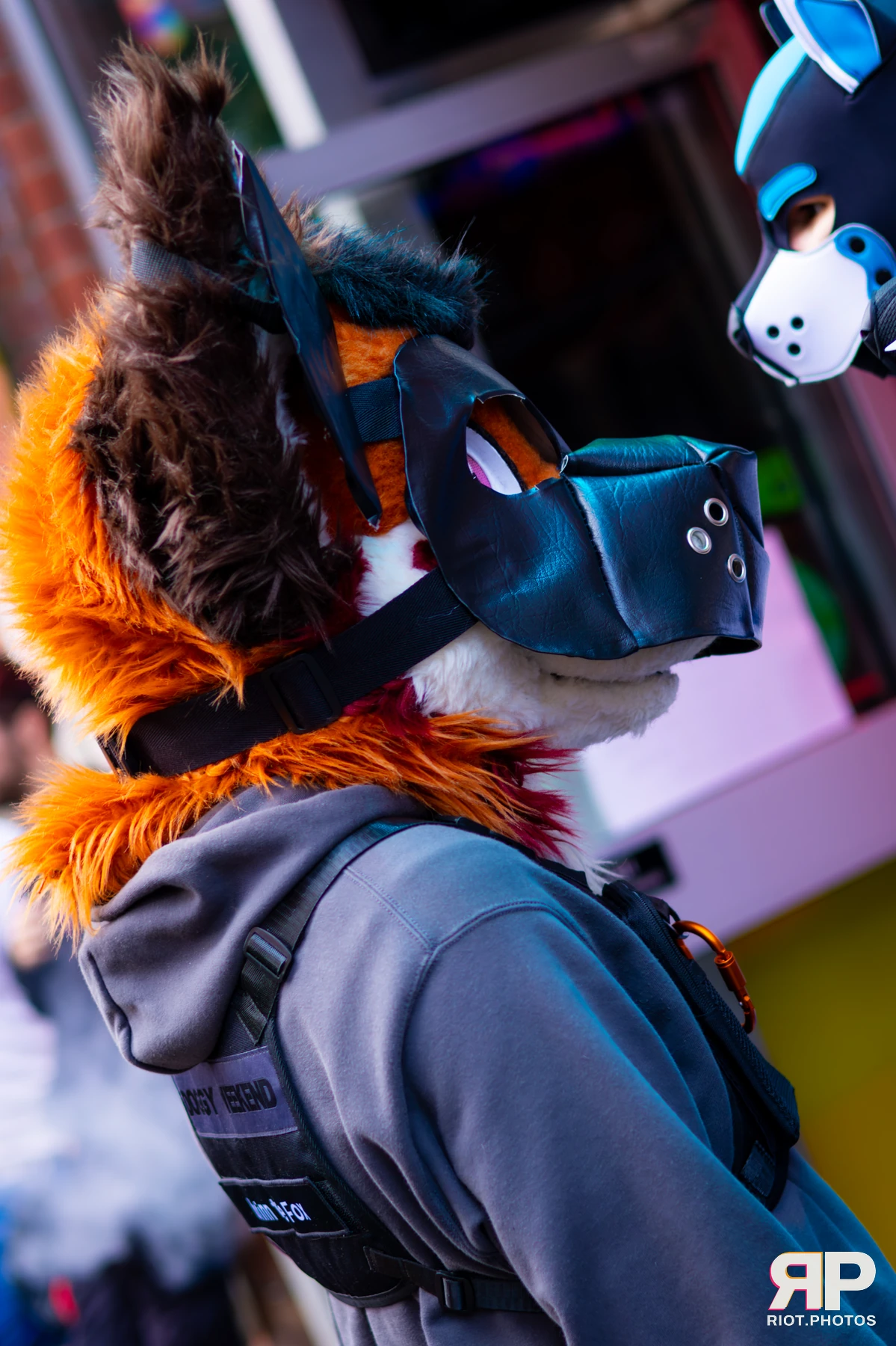 Kennel Klub - November, 2025 — 01 Nov 2025, Fluffy Riot photography — photo 12