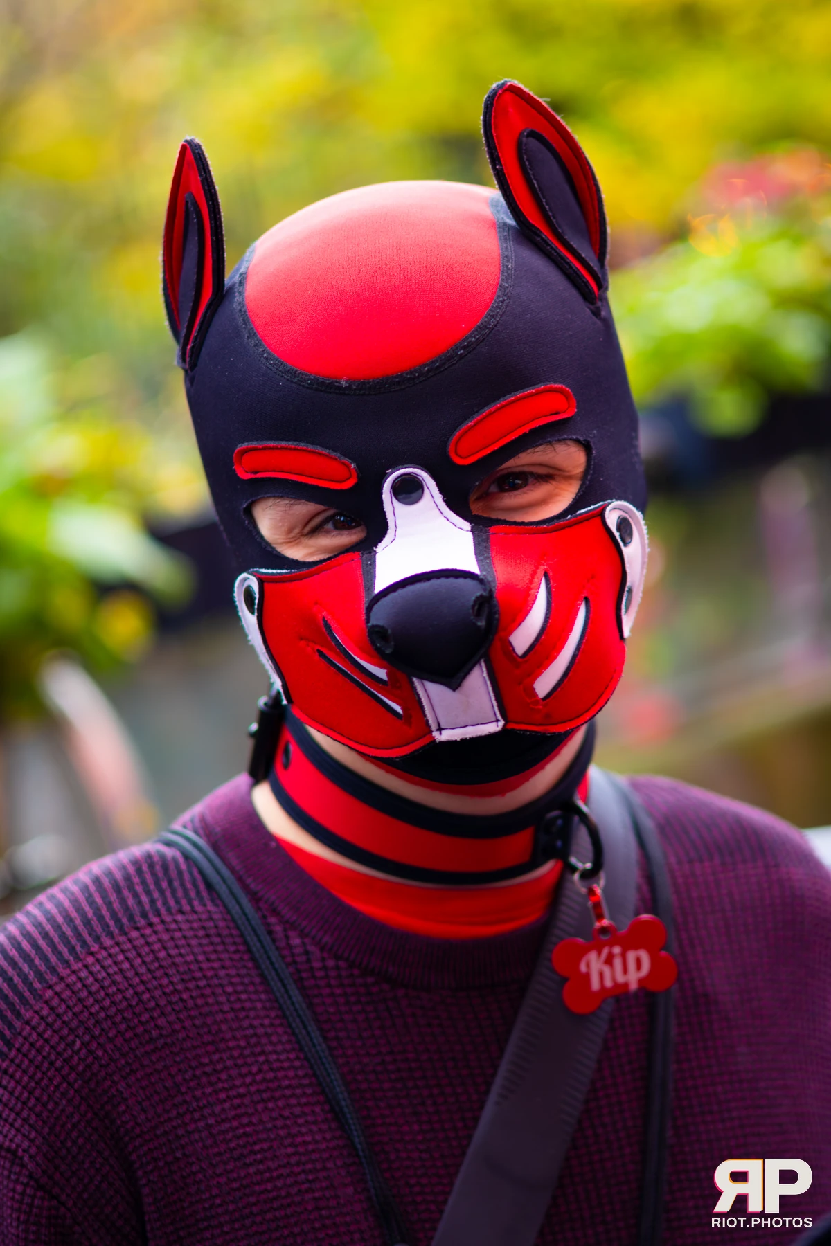 Kennel Klub - November, 2025 — 01 Nov 2025, Fluffy Riot photography — photo 13
