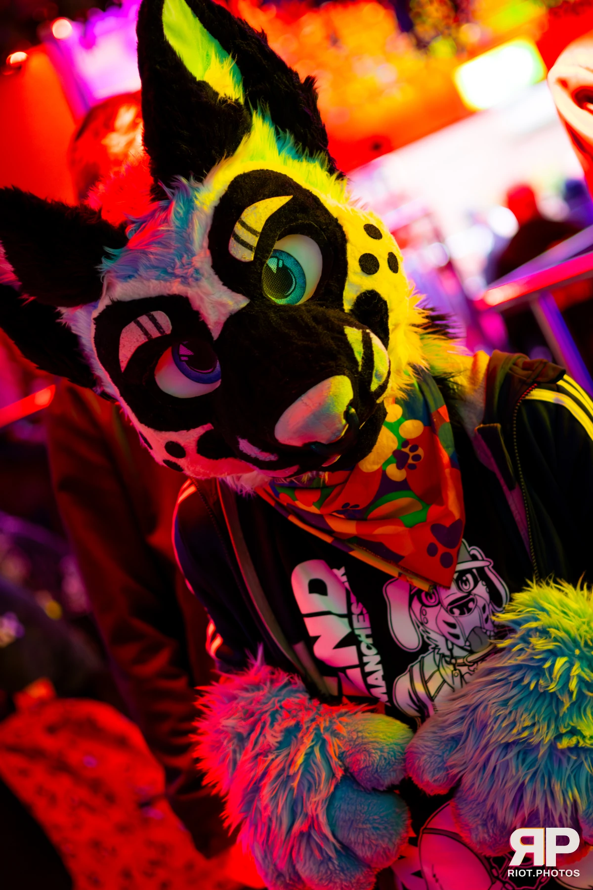 Hagen Hyena — furry & pup photography by Fluffy Riot — photo 69