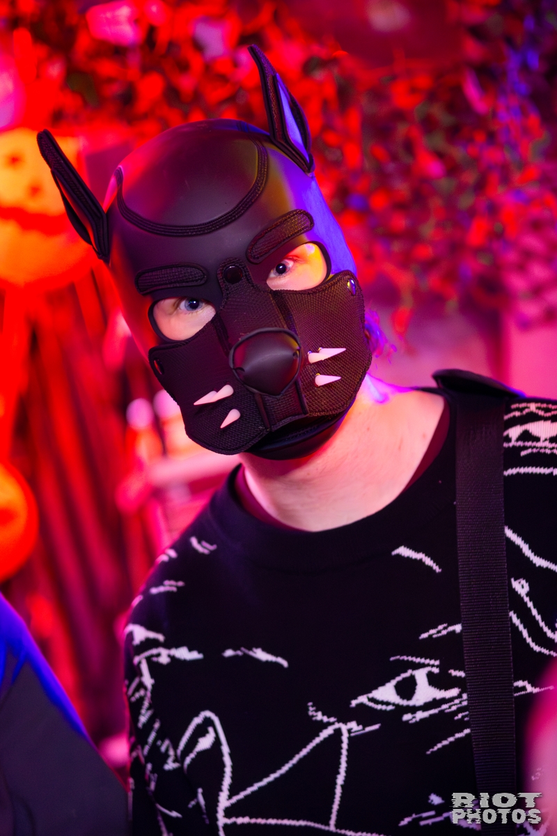 2025-11-01 KennelKlub-202511-018.jpg