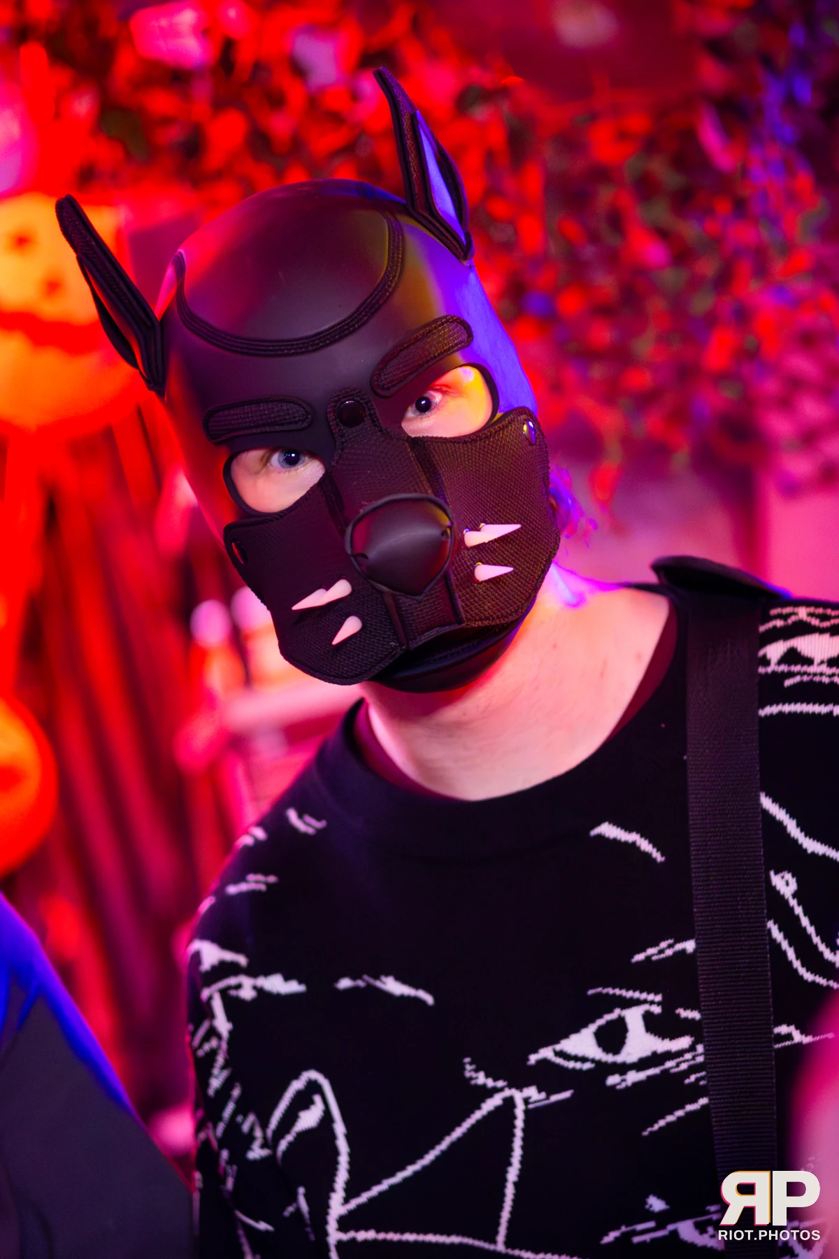 Kennel Klub - November, 2025 — 01 Nov 2025, Fluffy Riot photography — photo 18