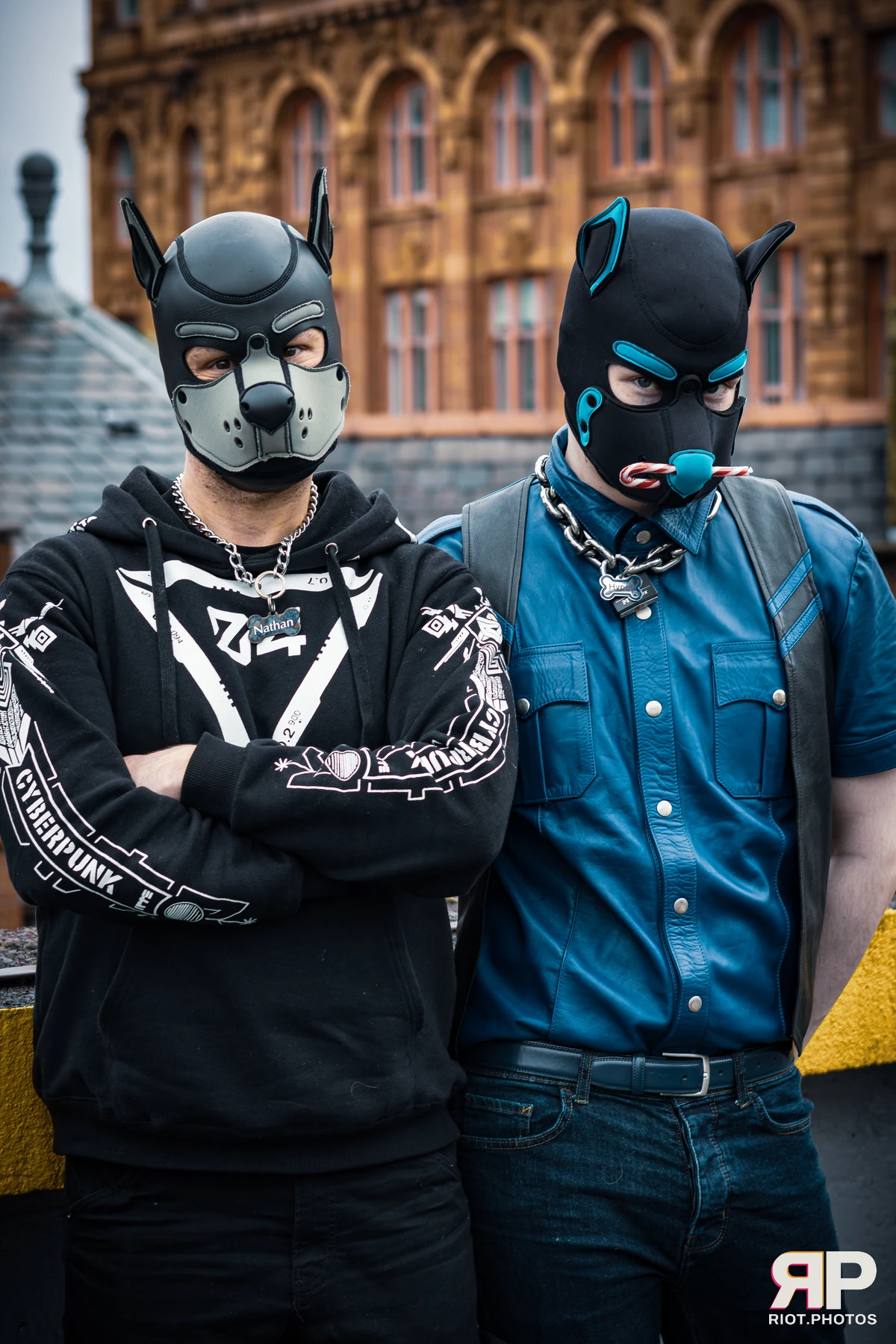Pup Nathan — furry & pup photography by Fluffy Riot — photo 30