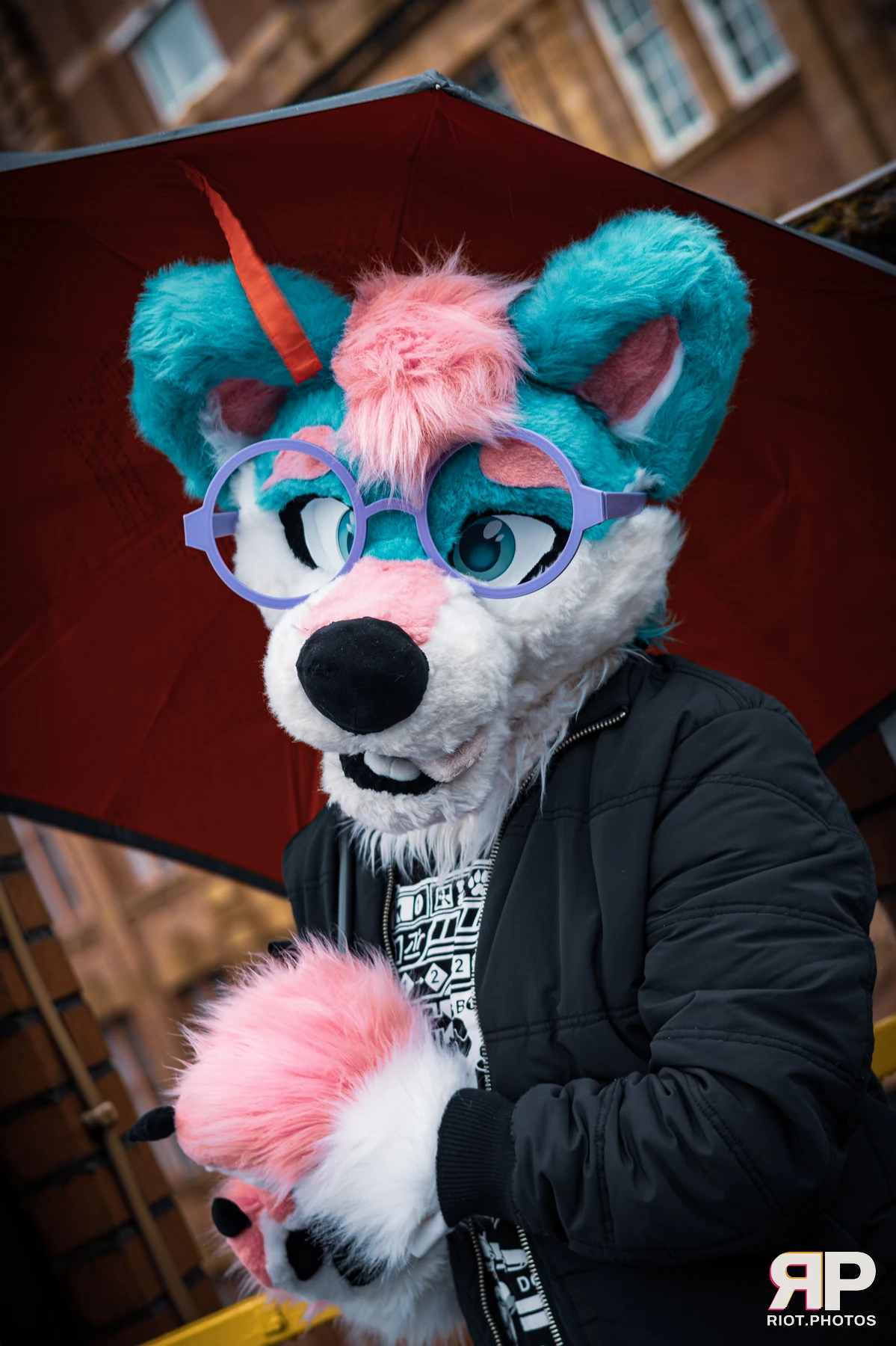 Pup Kaz — furry & pup photography by Fluffy Riot — photo 230