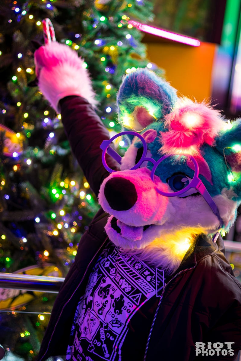 2025-12-06 KennelKlub-202512-012.jpg