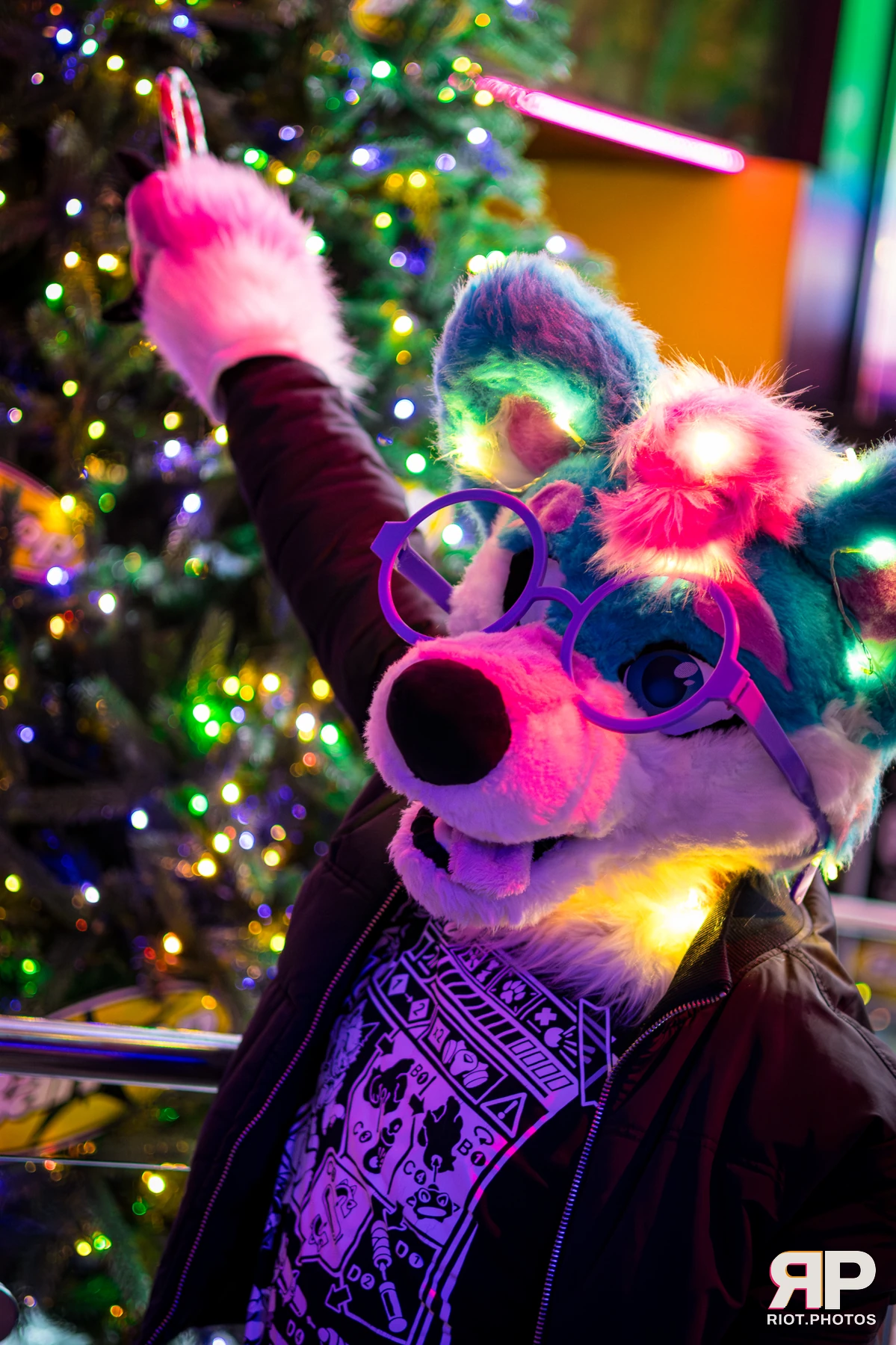 Pup Kaz — furry & pup photography by Fluffy Riot — photo 232