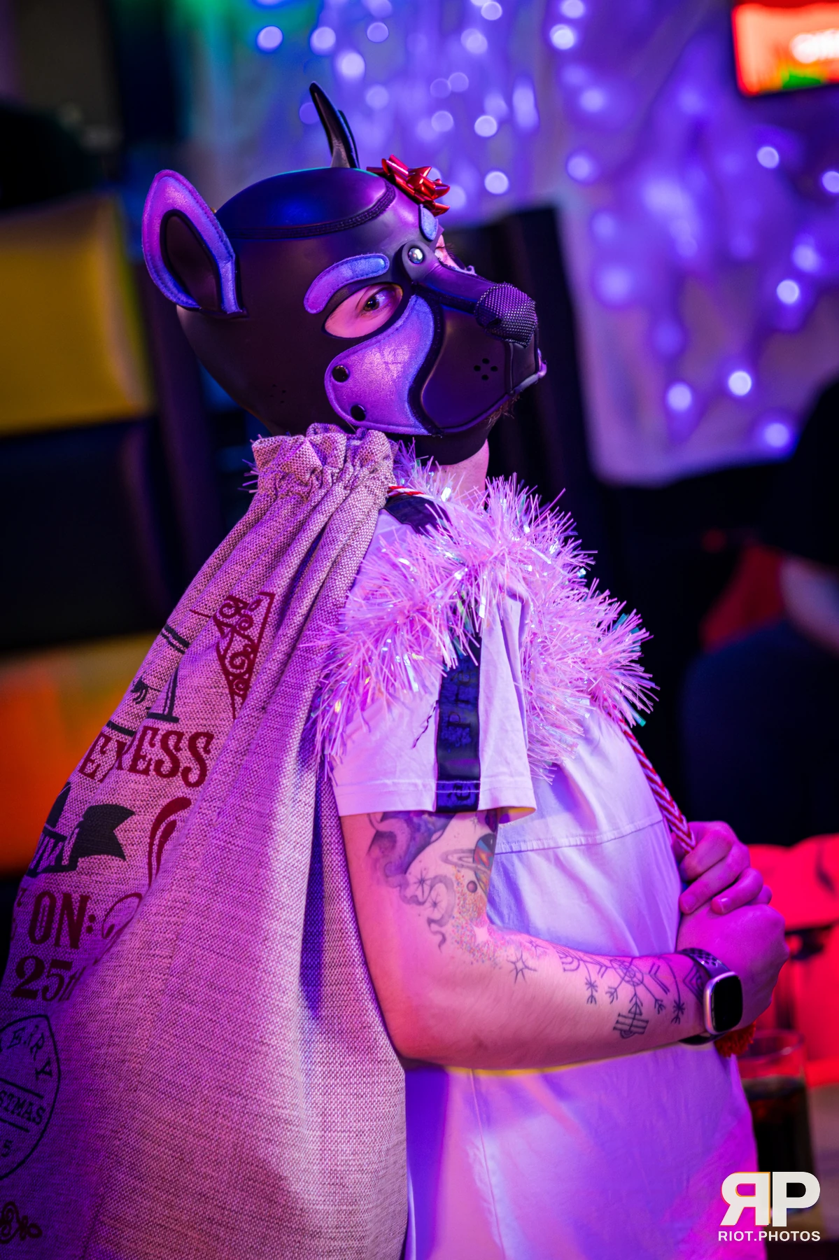Kennel Klub - December, 2025 — 06 Dec 2025, Fluffy Riot photography — photo 14