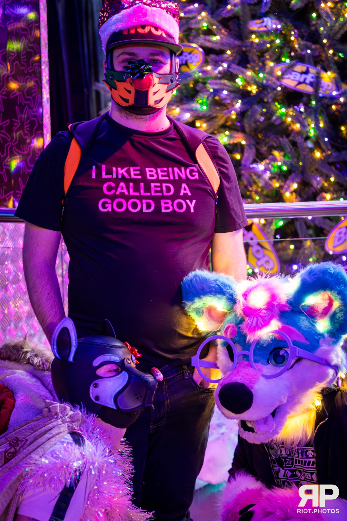 Pup Bismuth — furry & pup photography by Fluffy Riot — photo 13