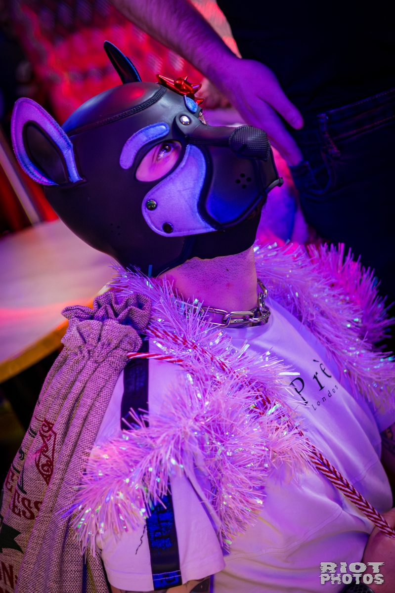 2025-12-06 KennelKlub-202512-017.jpg