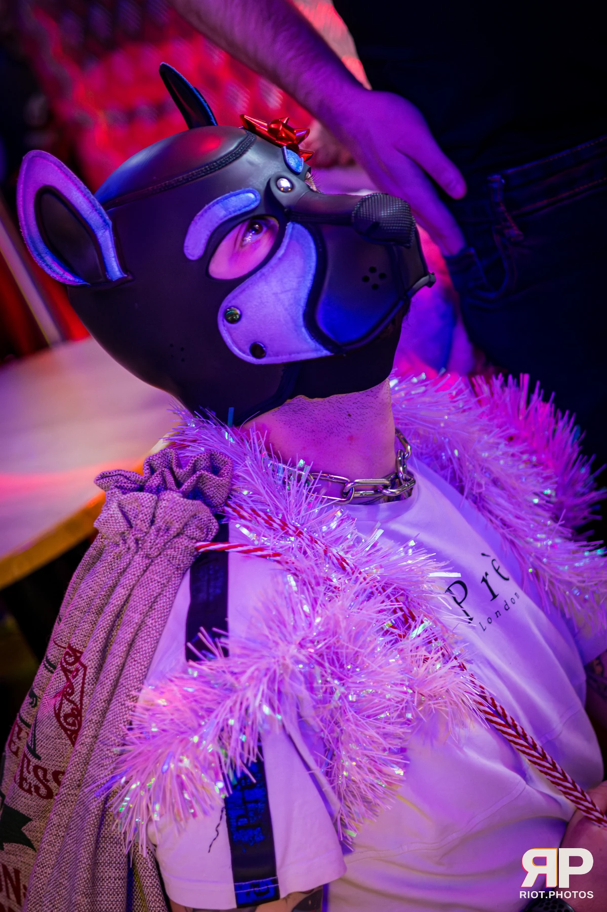 Pup Bismuth — furry & pup photography by Fluffy Riot — photo 14