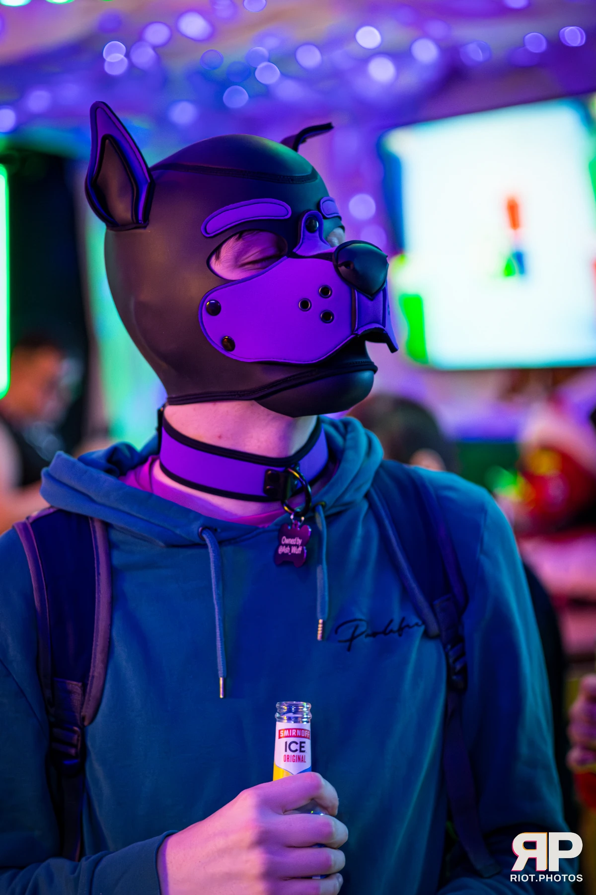 Mosaic Fox — furry & pup photography by Fluffy Riot — photo 27