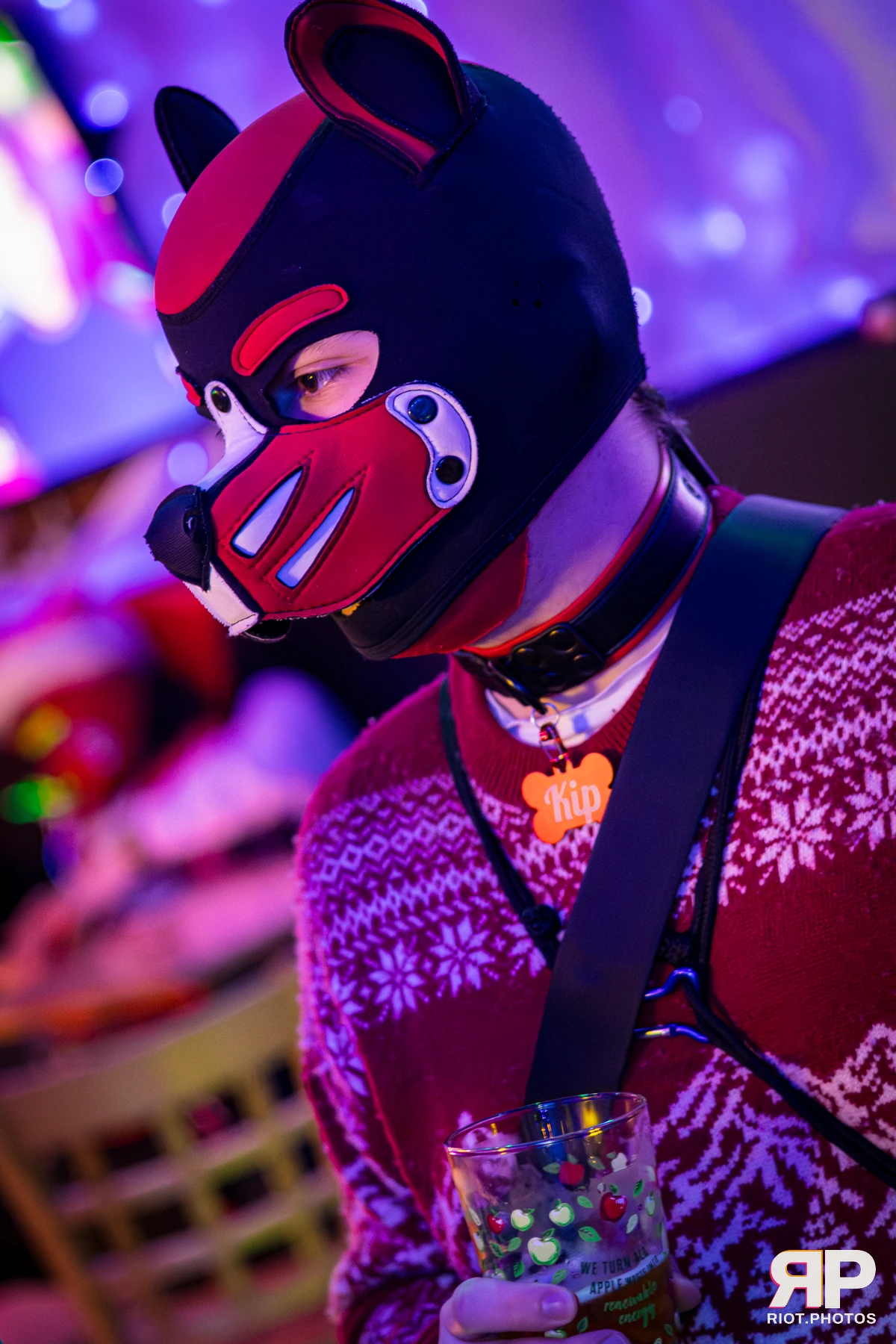 Kennel Klub - December, 2025 — 06 Dec 2025, Fluffy Riot photography — photo 21