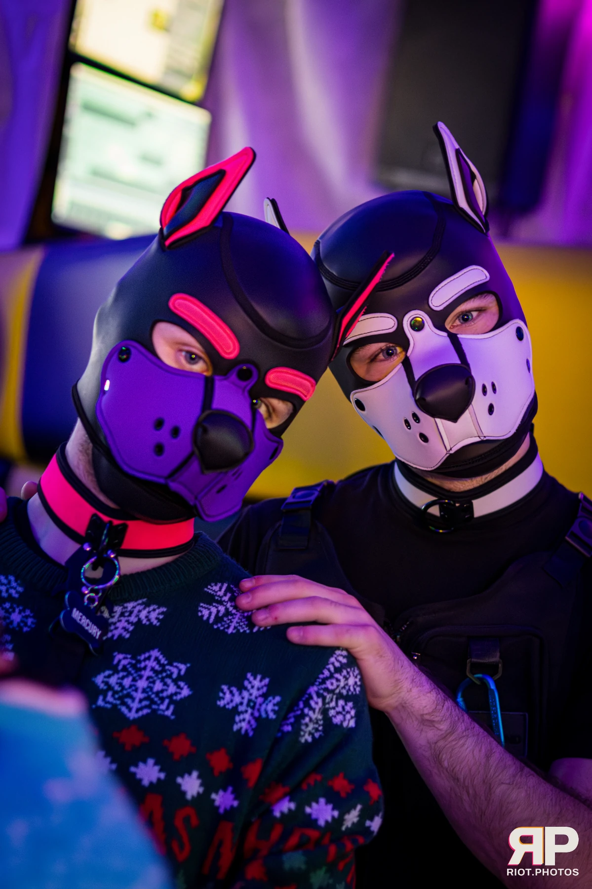 Kennel Klub - December, 2025 — 06 Dec 2025, Fluffy Riot photography — photo 22