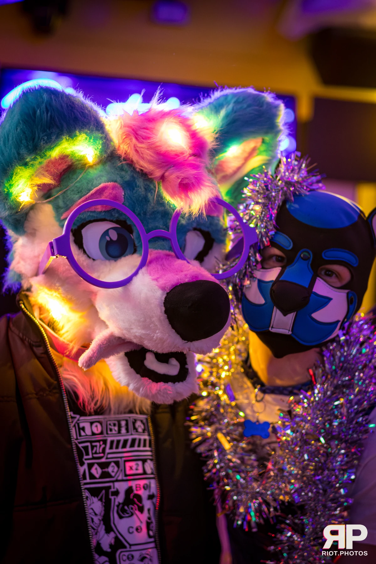 Pup Kaz — furry & pup photography by Fluffy Riot — photo 235