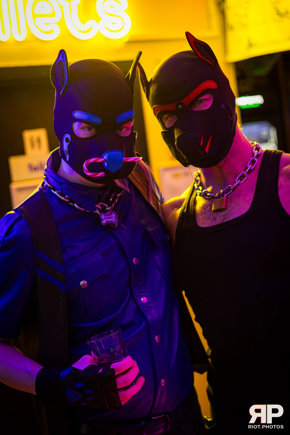 Hyper — furry & pup photography by Fluffy Riot — photo 17