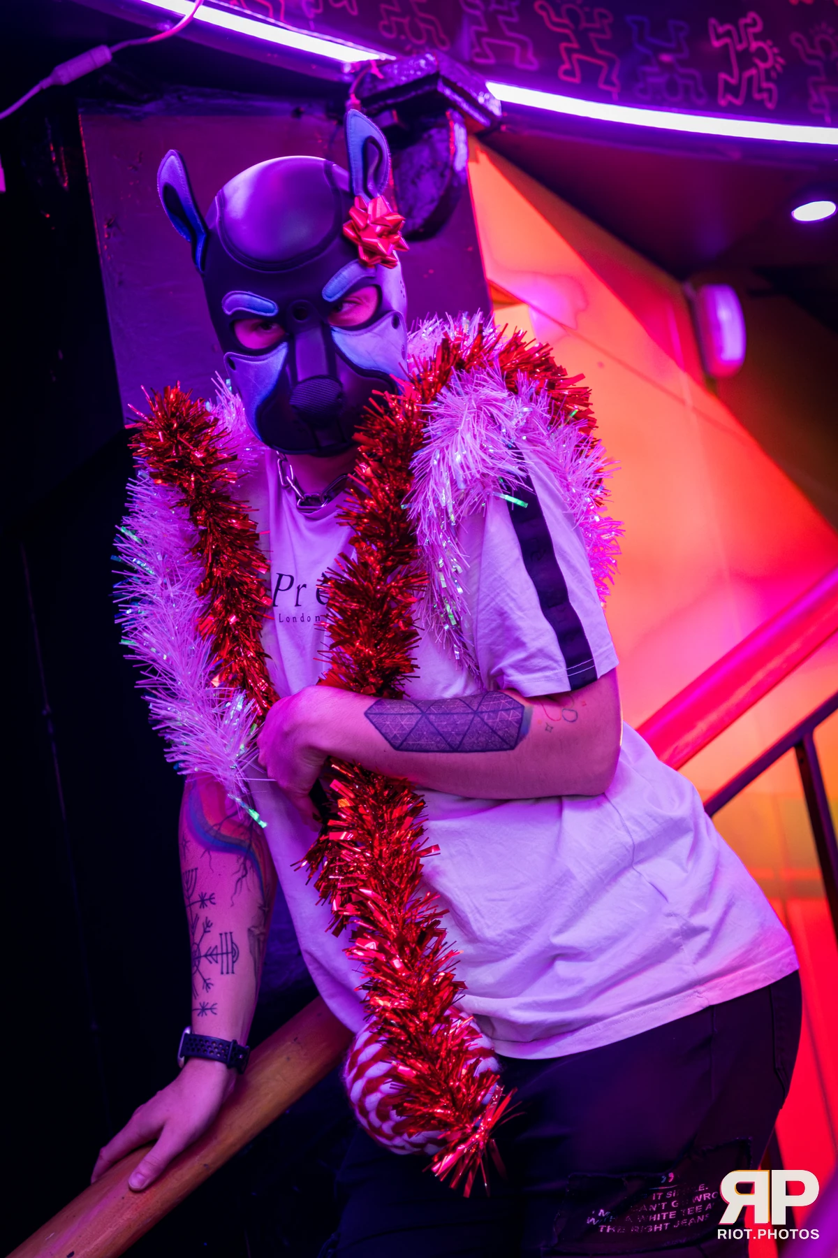 Pup Bismuth — furry & pup photography by Fluffy Riot — photo 15