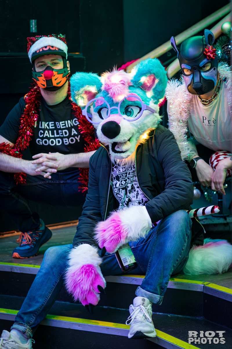 2025-12-06 KennelKlub-202512-028.jpg
