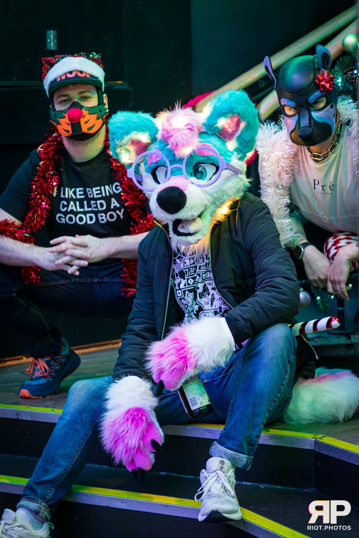 Pup Bismuth — furry & pup photography by Fluffy Riot — photo 16