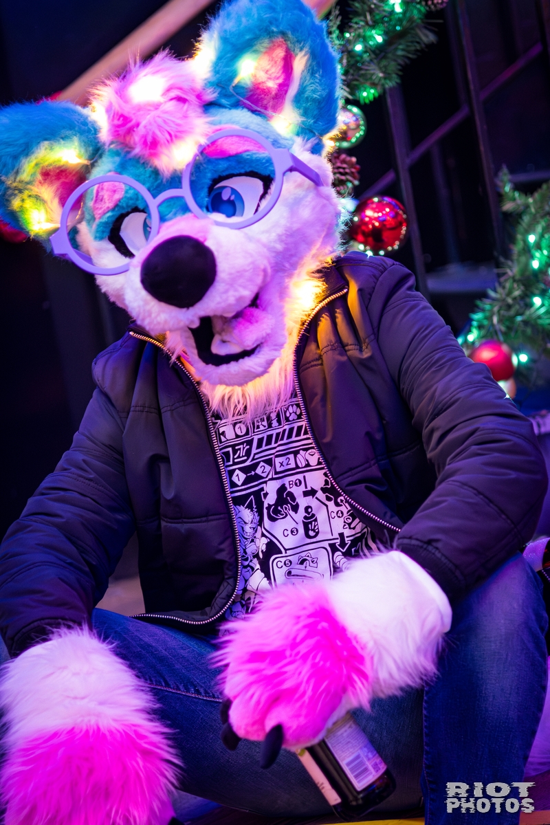 2025-12-06 KennelKlub-202512-029.jpg