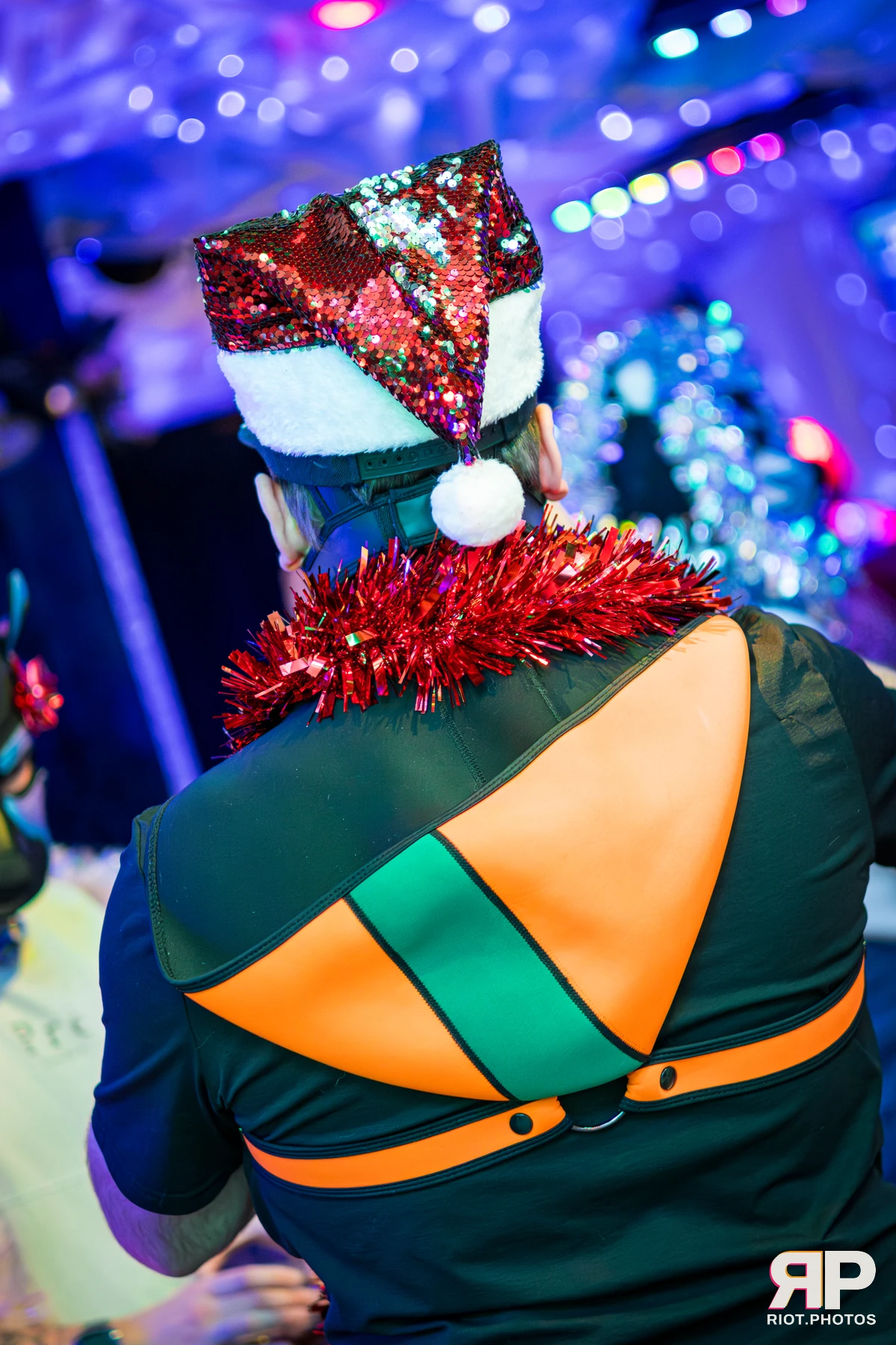 Kennel Klub - December, 2025 — 06 Dec 2025, Fluffy Riot photography — photo 30