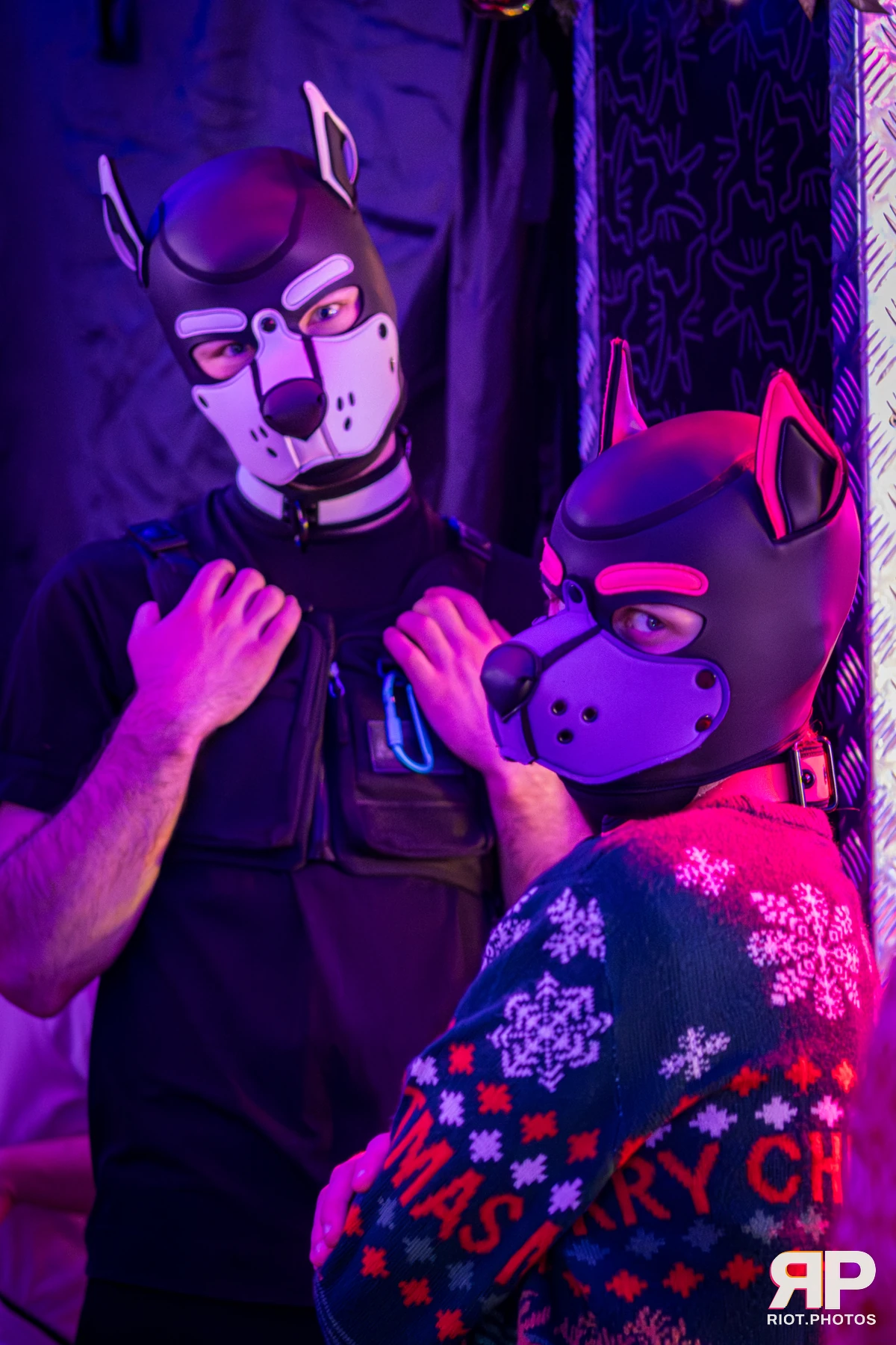 Mercury — furry & pup photography by Fluffy Riot — photo 10