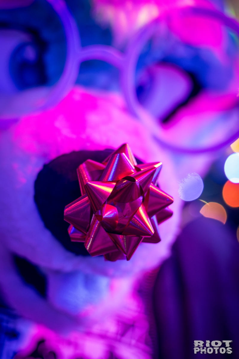 2025-12-06 KennelKlub-202512-035.jpg