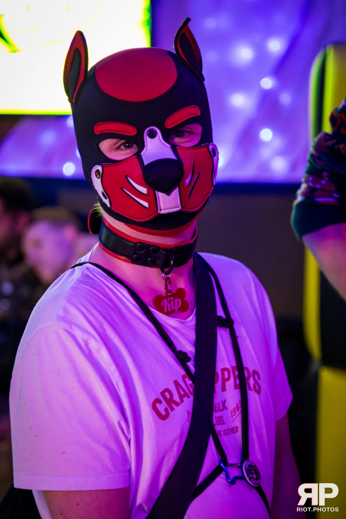 Kennel Klub - December, 2025 — 06 Dec 2025, Fluffy Riot photography — photo 36