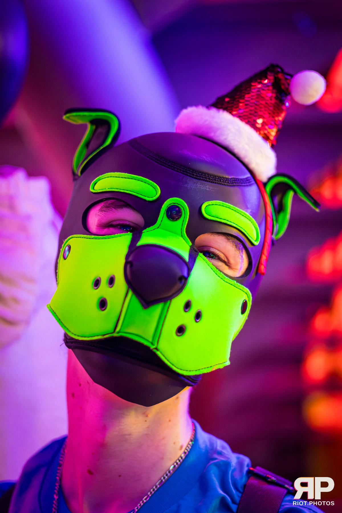 Kennel Klub - December, 2025 — 06 Dec 2025, Fluffy Riot photography — photo 44