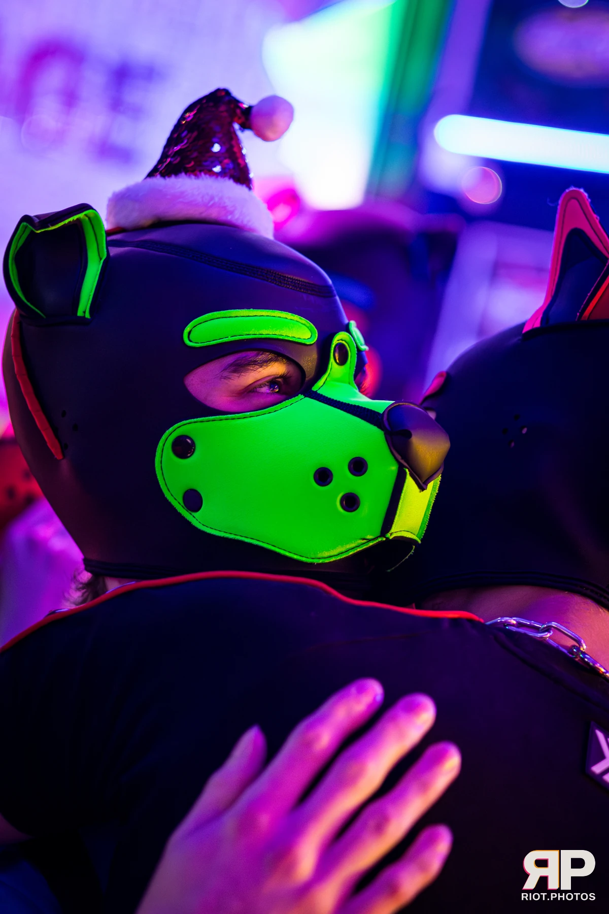 Kennel Klub - December, 2025 — 06 Dec 2025, Fluffy Riot photography — photo 48