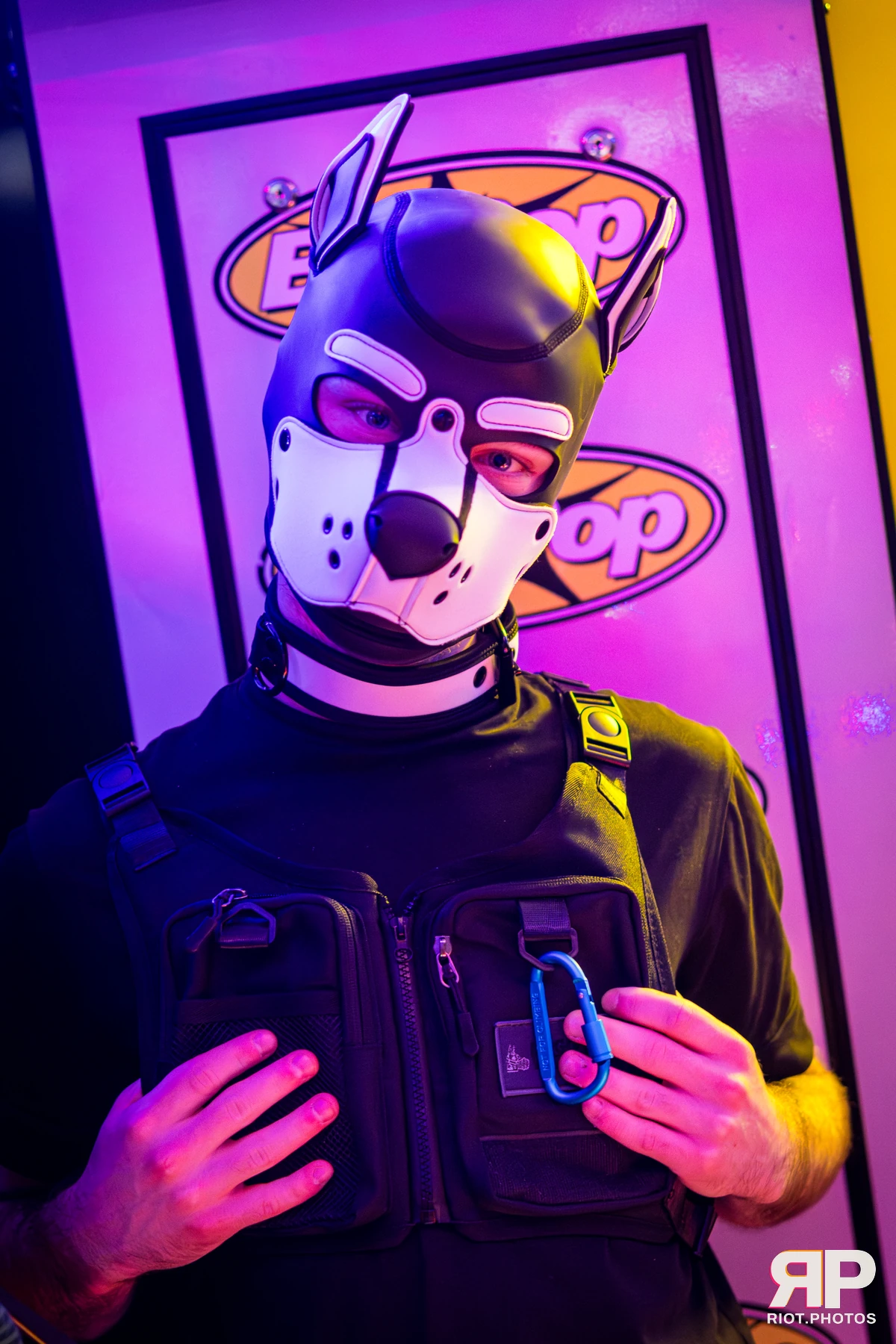 Kennel Klub - December, 2025 — 06 Dec 2025, Fluffy Riot photography — photo 51
