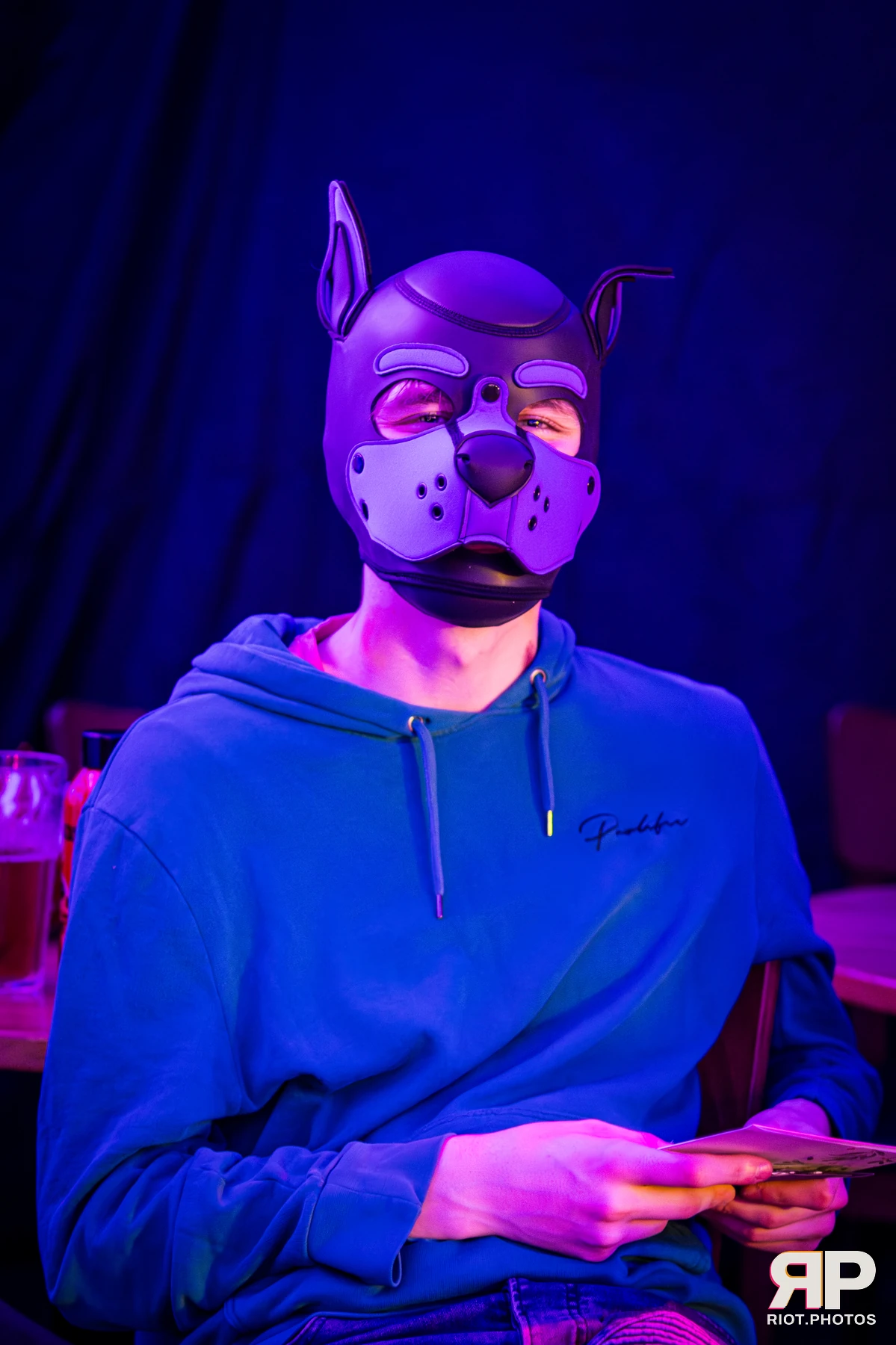 Mosaic Fox — furry & pup photography by Fluffy Riot — photo 28