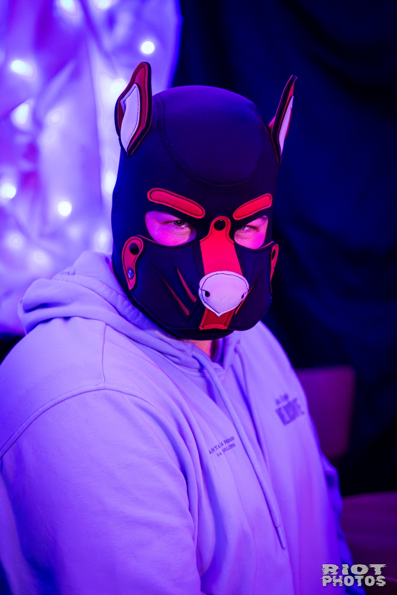 2025-12-06 KennelKlub-202512-057.jpg