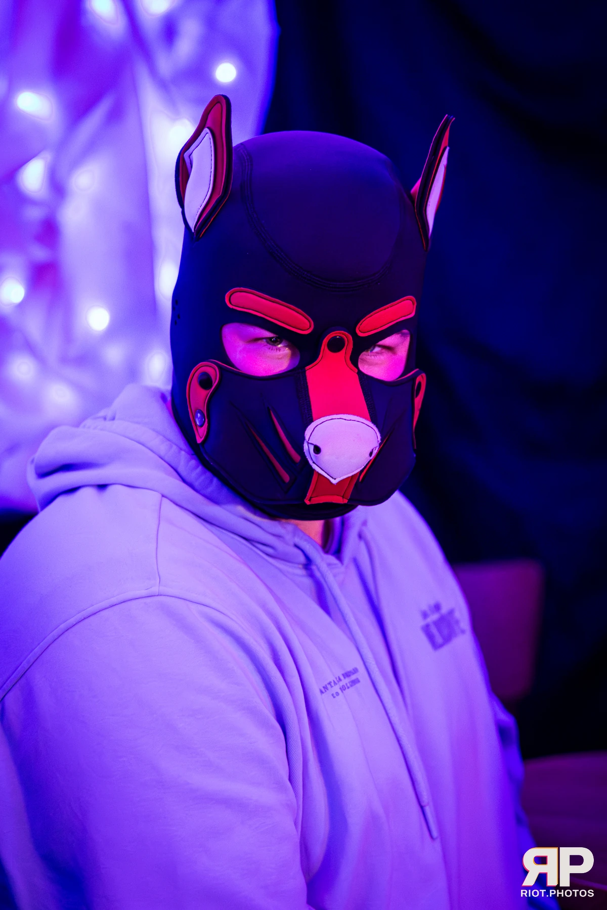 Kennel Klub - December, 2025 — 06 Dec 2025, Fluffy Riot photography — photo 57